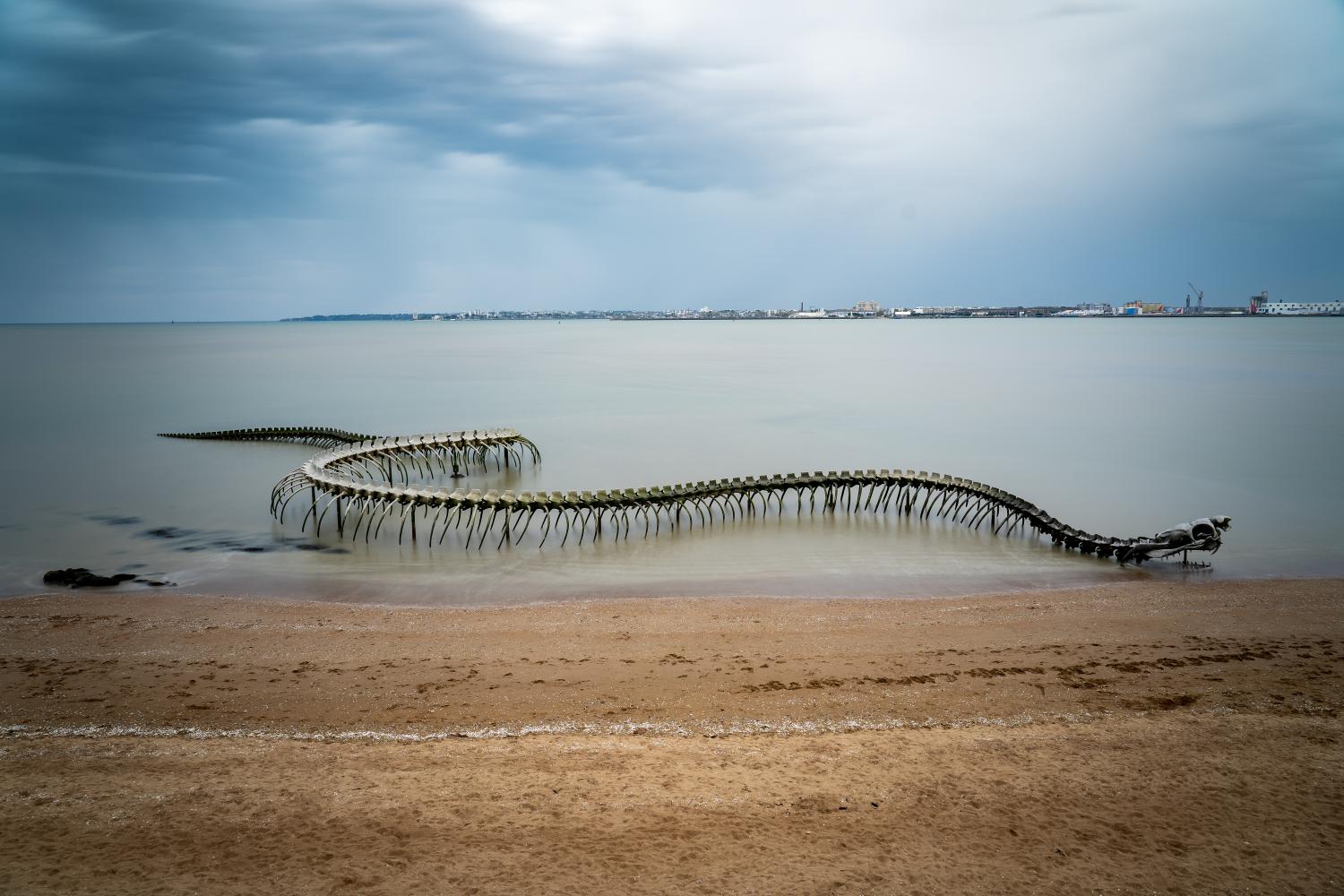 Serpent d'océan