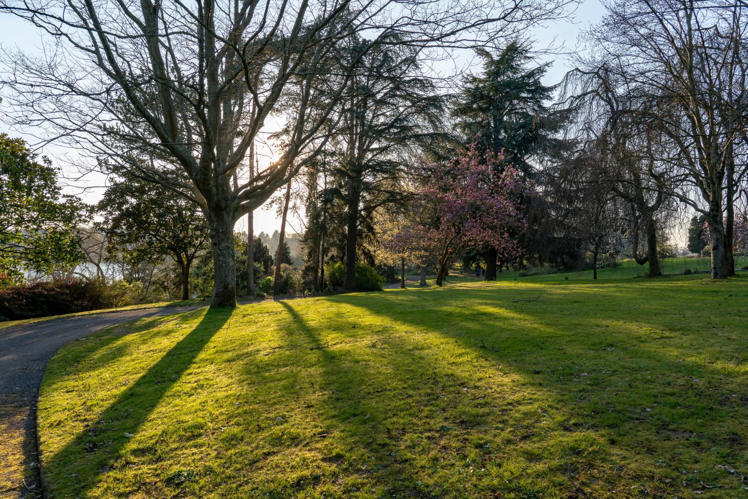 Ombres et lumières au parc de la Roseraie