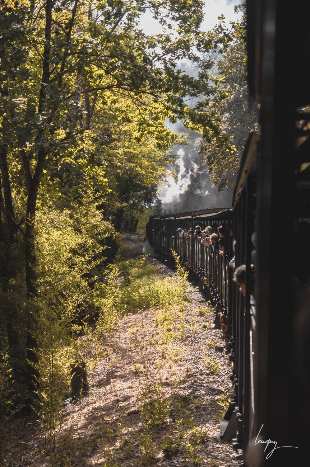 Train à vapeur