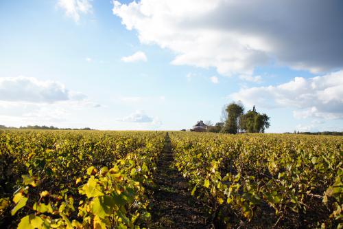 Paysage