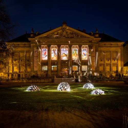 noel2019