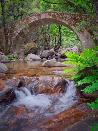 pont